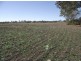 Murgon QLD 4605