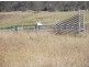 Murgon QLD 4605