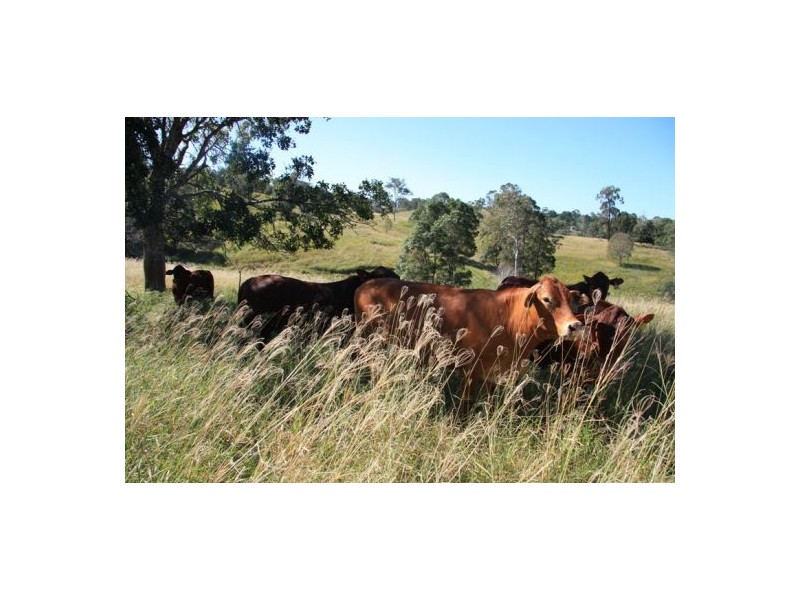 Chatsworth QLD 4570