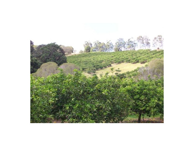 372 Kandanga Amamoor Road, Amamoor QLD 4570