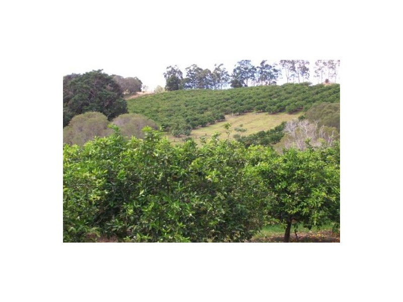 372 Kandanga Amamoor Road, Amamoor QLD 4570