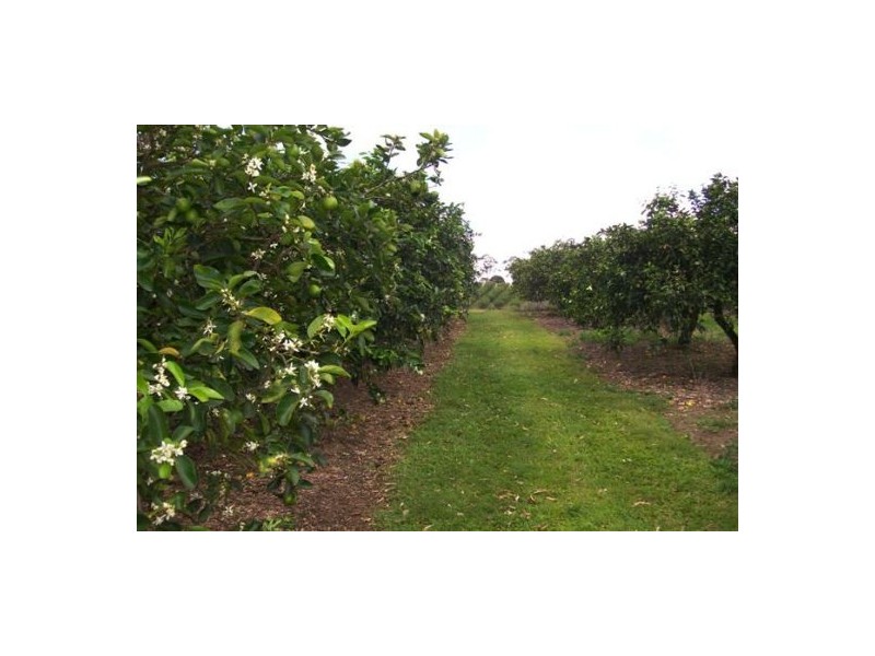 372 Kandanga Amamoor Road, Amamoor QLD 4570