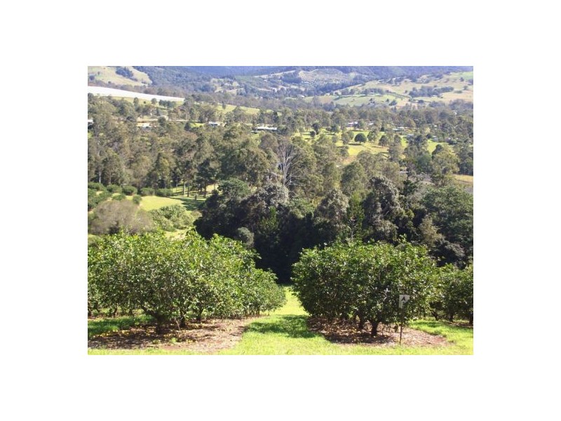 372 Kandanga Amamoor Road, Amamoor QLD 4570