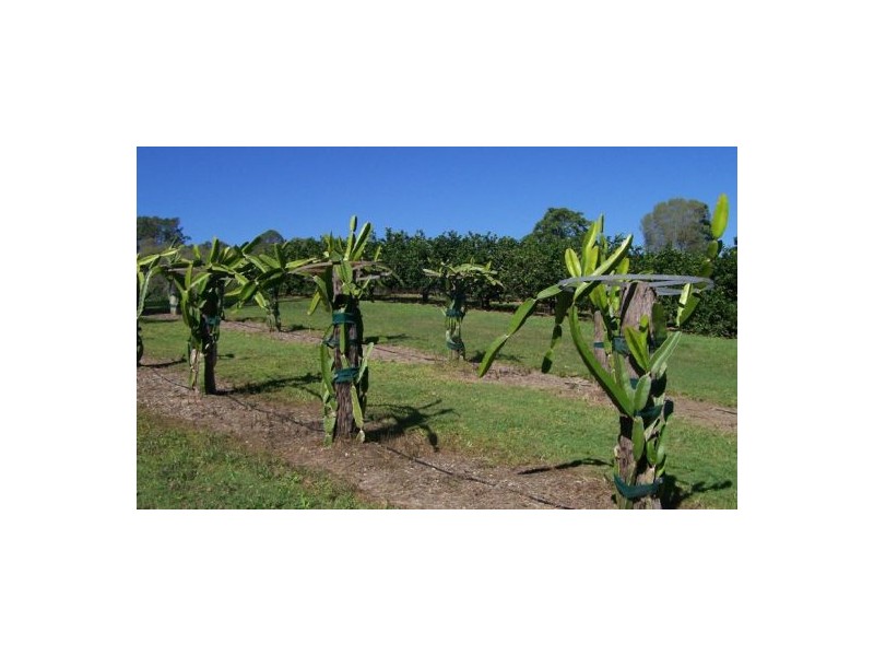 372 Kandanga Amamoor Road, Amamoor QLD 4570