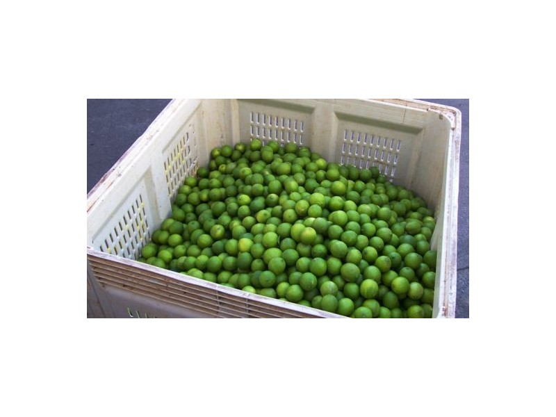 372 Kandanga Amamoor Road, Amamoor QLD 4570