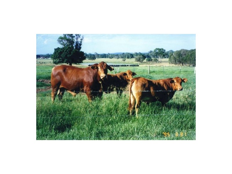Kia Ora QLD 4570