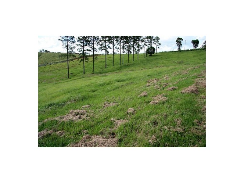 Lagoon Pocket QLD 4570