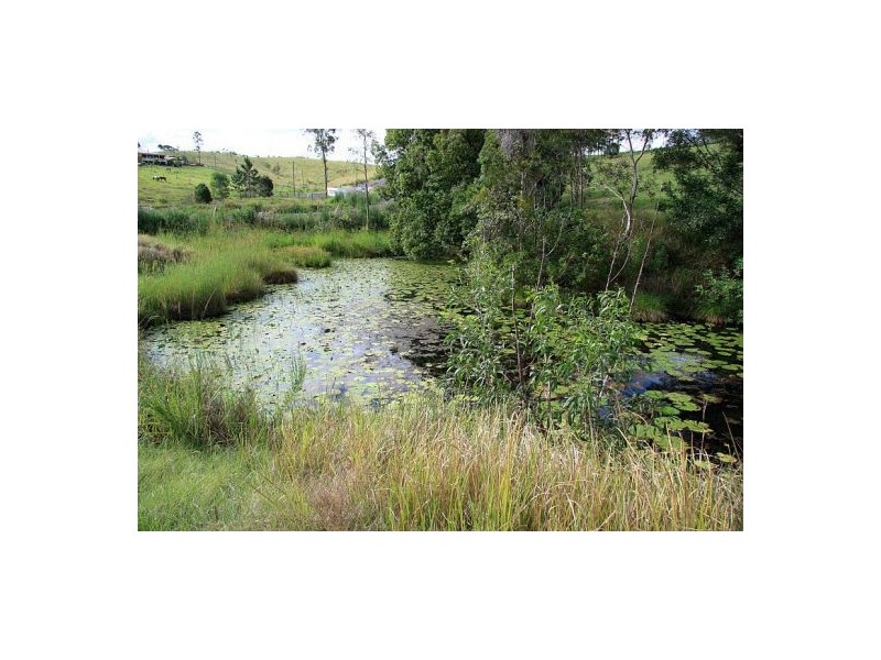 Lagoon Pocket QLD 4570