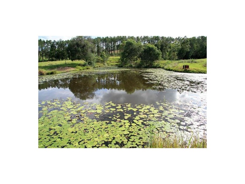 Lagoon Pocket QLD 4570