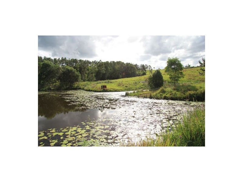 Lagoon Pocket QLD 4570