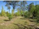 339 Nash Road, Tamaree QLD 4570