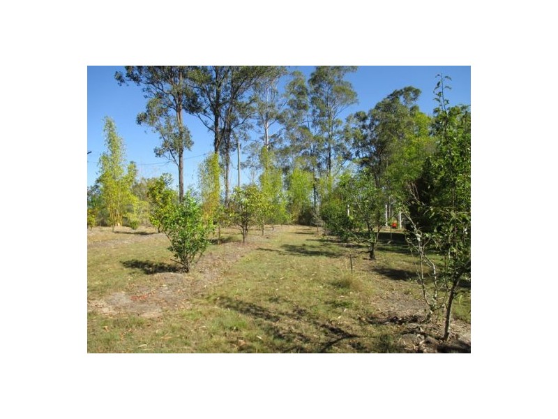 339 Nash Road, Tamaree QLD 4570