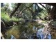 Upper Glastonbury QLD 4570