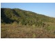 Lot 1 Allen Road, Chatsworth QLD 4570