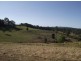 Cooran QLD 4569
