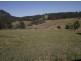 Cooran QLD 4569