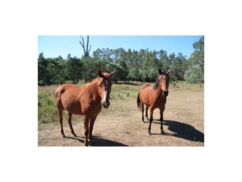 Glen Echo QLD 4570