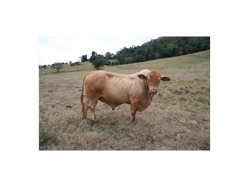 Marys Creek QLD 4570