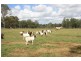 Scotchy Pocket QLD 4570