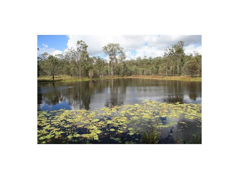 Scotchy Pocket QLD 4570