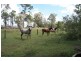Scotchy Pocket QLD 4570