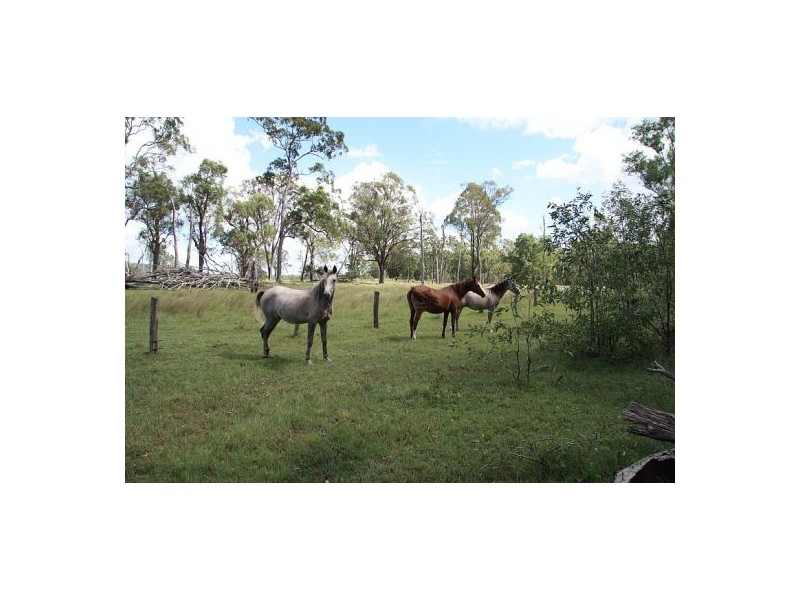 Scotchy Pocket QLD 4570