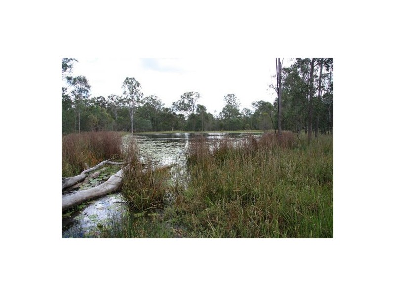 Scotchy Pocket QLD 4570