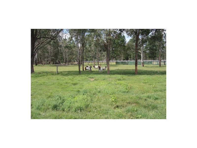 Scotchy Pocket QLD 4570