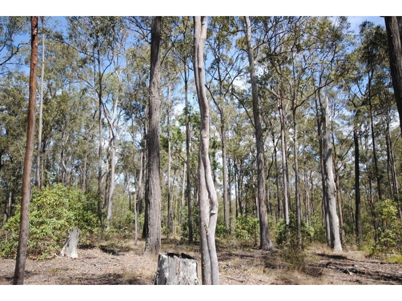 Lots 78 & 79 Pine Ridge Road, Glenwood QLD 4570