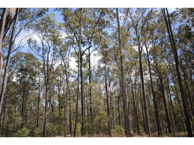 Lots 78 & 79 Pine Ridge Road, Glenwood QLD 4570