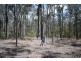 Lots 78 & 79 Pine Ridge Road, Glenwood QLD 4570