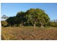 345 Mooloo Road, Mooloo QLD 4570