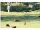 131 Hartwig Road, Mothar Mountain QLD 4570