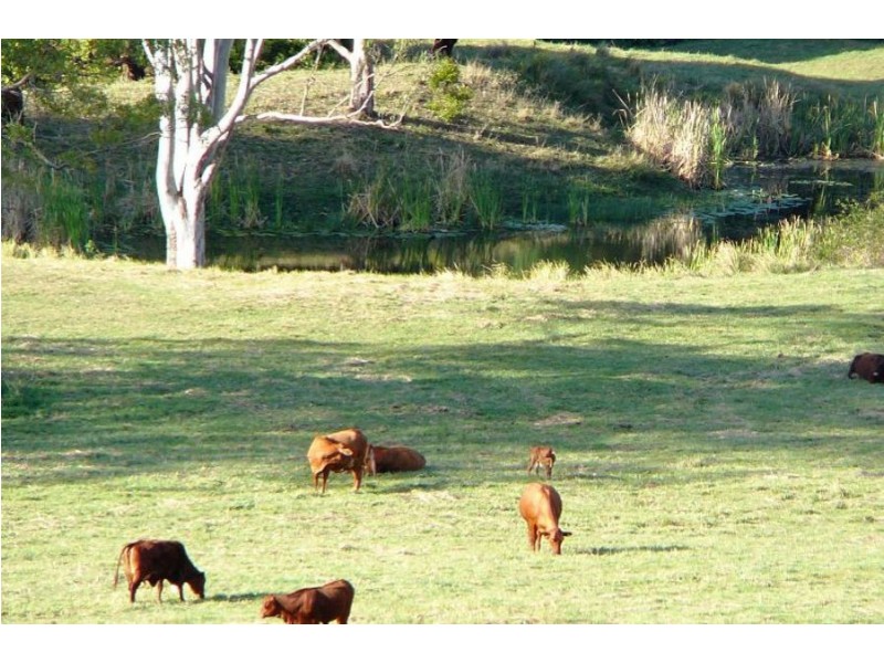 131 Hartwig Road, Mothar Mountain QLD 4570
