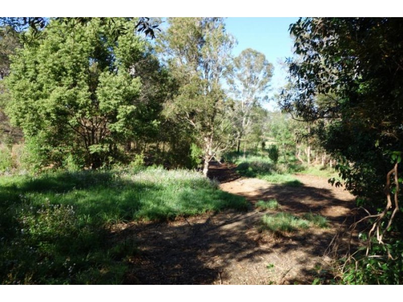 Lot 10 Eel Creek Road, Pie Creek QLD 4570