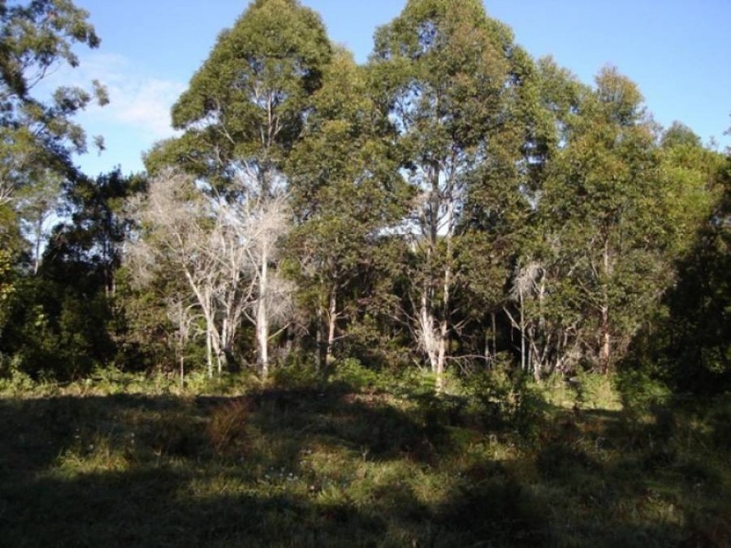 233 Perseverance Road, Kin Kin QLD 4571