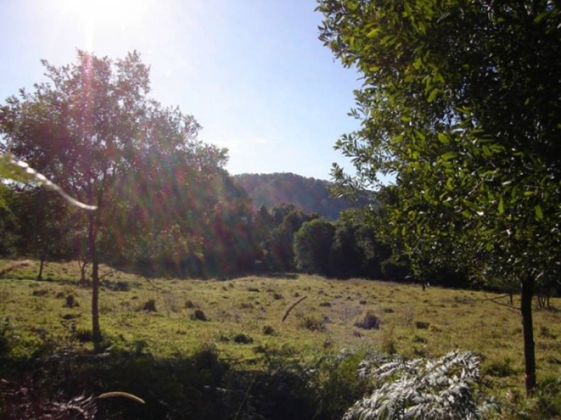 233 Perseverance Road, Kin Kin QLD 4571