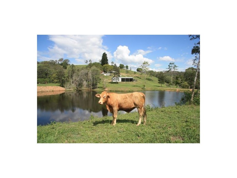 289 Ironstone Creek Road, Tuchekoi QLD 4570