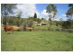 289 Ironstone Creek Road, Tuchekoi QLD 4570
