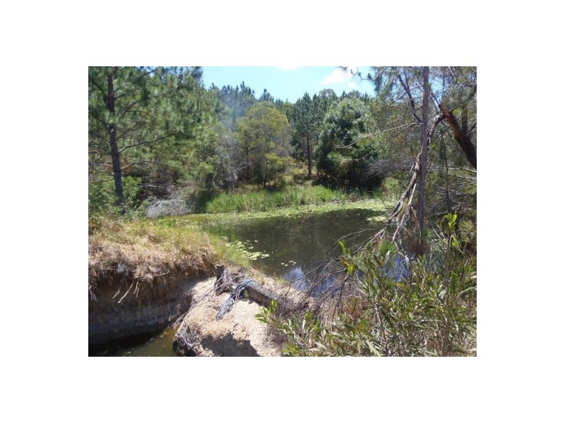 853 Tin Can Bay Road, Canina QLD 4570