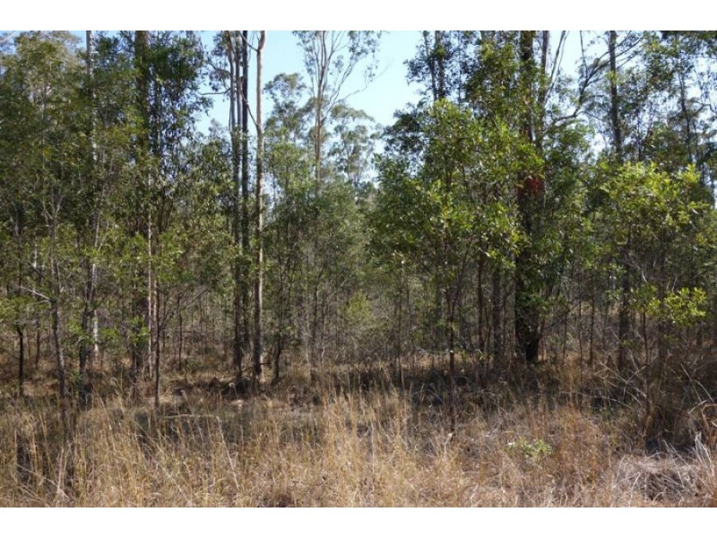 Lot 193 Van Hensbroek Road, Bauple QLD 4650