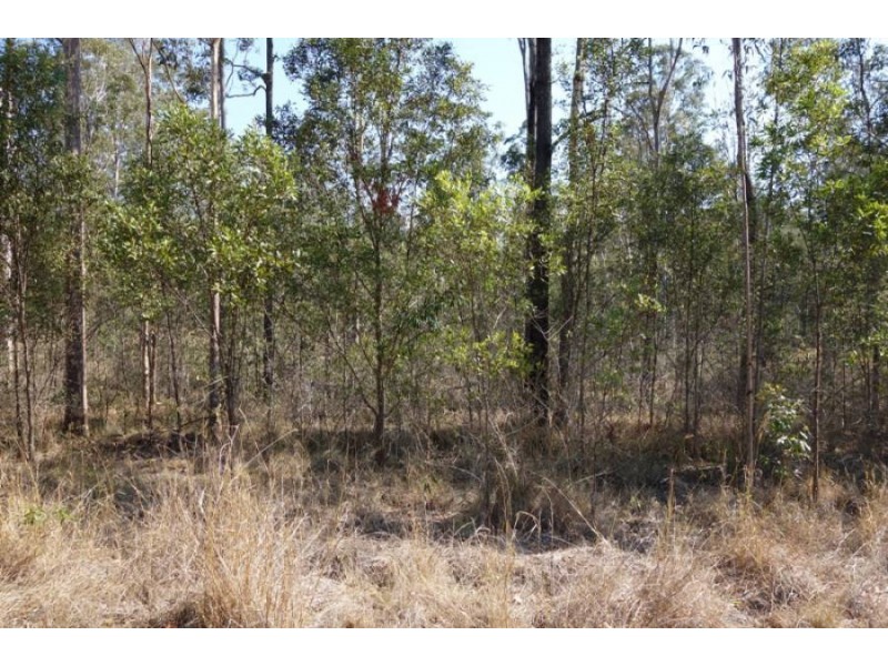 Lot 193 Van Hensbroek Road, Bauple QLD 4650