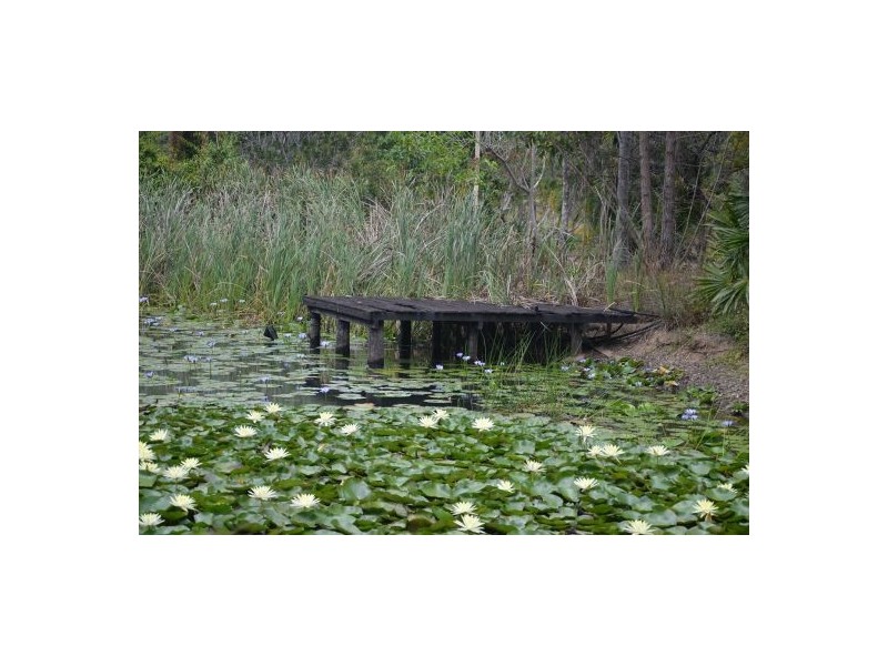 57 Willetts Road, Bauple QLD 4650