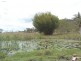 Coondoo QLD 4570