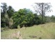 Pie Creek QLD 4570