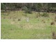 Pie Creek QLD 4570