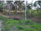 411 Cootharaba Road, Cootharaba QLD 4565