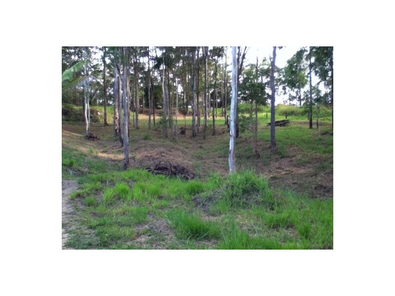 411 Cootharaba Road, Cootharaba QLD 4565