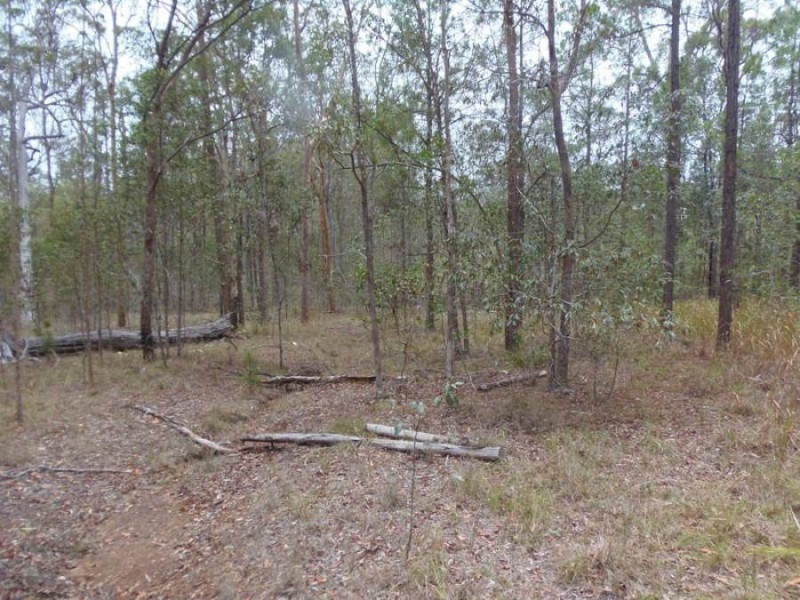 91 Arbortwenty-eight Road, Glenwood QLD 4570