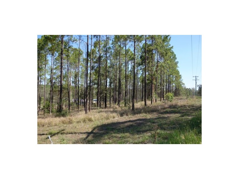 Lot 303 Arborfour Road, Glenwood QLD 4570